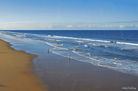 The Edge On Beaches - Kawana Tourism 2