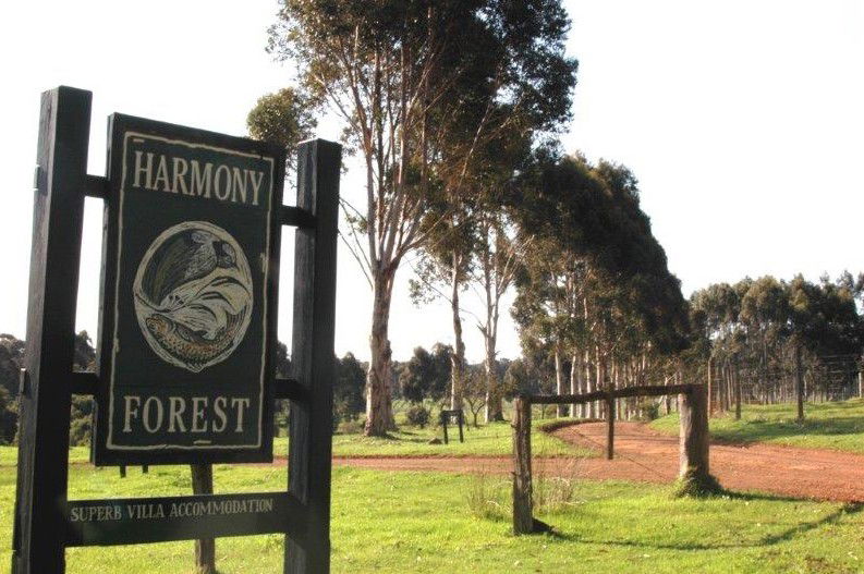 Forest Grove WA Kawana Tourism