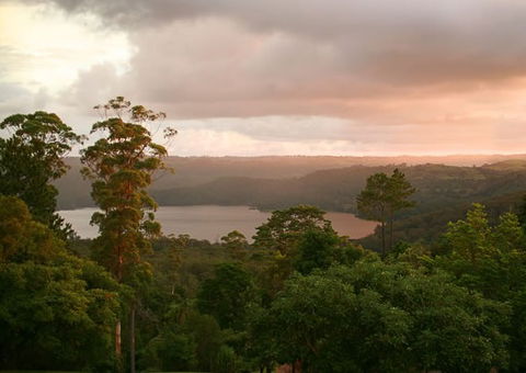 Montville Misty View Cabins - Kawana Tourism 0
