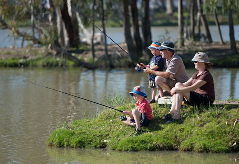 Berri Riverside Caravan Park - Kawana Tourism 3