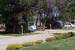 Paringa Caravan Park - Kawana Tourism 0