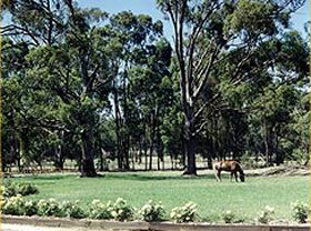 Saratoga Lodge - Kawana Tourism 0