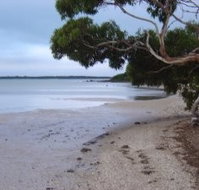 Stanley Lakeside Spa Cabins - Kawana Tourism