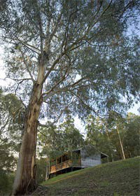 Ada VIC Kawana Tourism