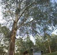 Outpost Restaurant - Kawana Tourism