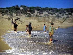 Flippers Beachouse - Kawana Tourism 0