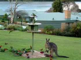 Gipsy Point Lakeside - Kawana Tourism 0