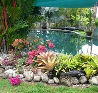 Daintree Wild Bed And Breakfast - Kawana Tourism