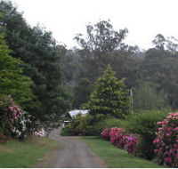 Mountain Rivers Lodge - Kawana Tourism