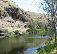 Paringa Cottage - Kawana Tourism