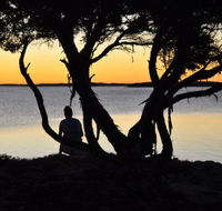 Willygunyah - Kawana Tourism