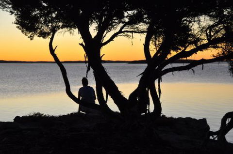  Willygunyah - Kawana Tourism 0
