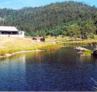 Millybrook Lodge - Kawana Tourism