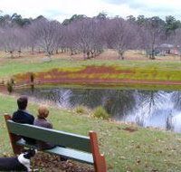 Chestnut Glade - Kawana Tourism