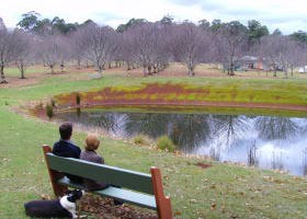 Chestnut Glade - Kawana Tourism 0