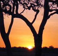 Coodardie Station Stay - Kawana Tourism
