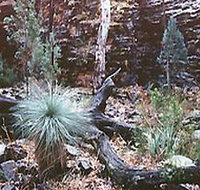 Alligator Lodge - Kawana Tourism