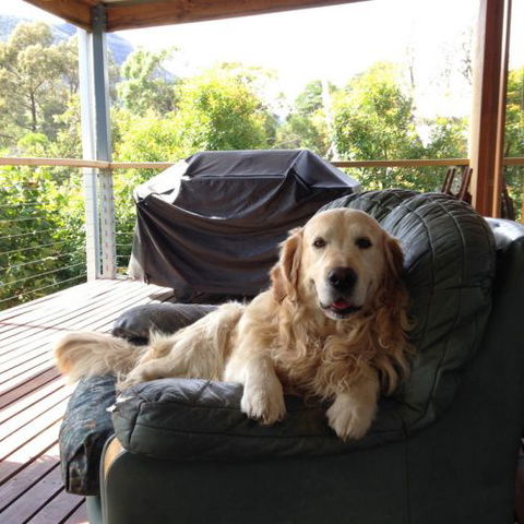 Ant's Halls Gap Holiday House - Kawana Tourism 7