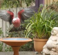 Wattle Court  Retreat - Kawana Tourism