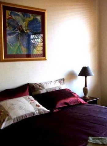 Armidale Ace Apartments - Kawana Tourism 2