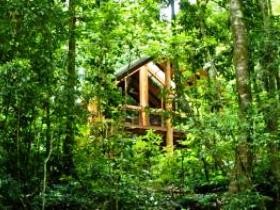 Fur'N'Feathers Rainforest Tree Houses - Kawana Tourism 0