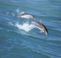Seachange - Kawana Tourism