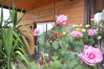 Balgownie Estate Vineyard & Spa - Kawana Tourism 2