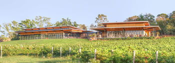 Balgownie Estate Vineyard & Spa - Kawana Tourism 5