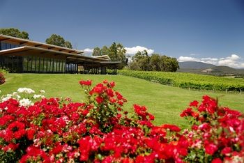 Balgownie Estate Vineyard & Spa - Kawana Tourism 34