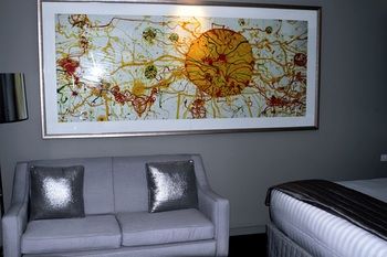 Art Series - The Olsen - Kawana Tourism 44