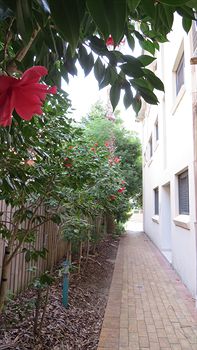 Waldorf Hornsby Residential Apartments - Kawana Tourism 8