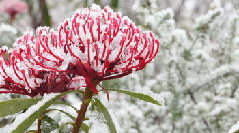 Valley Of The Waters B&B - Kawana Tourism 12