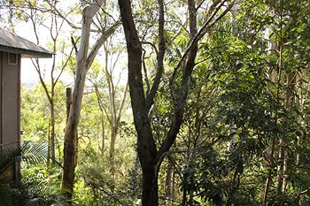 Arabella Guesthouse - Kawana Tourism 18
