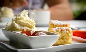 Riverwood Downs Mountain Valley Resort - Kawana Tourism 1