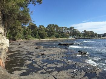 Ulladulla Harbour Motel - Kawana Tourism 29