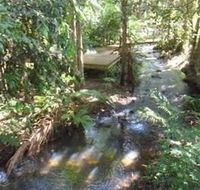 Treetops Accommodation Montville - Kawana Tourism