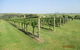 Tranquil Vale Vineyard & Cottages - thumb 8