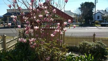 37 Queen Gloucester - Kawana Tourism 5
