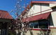 37 Queen Gloucester - thumb 12