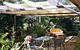 Shady Trees Barrington Holiday House - thumb 11