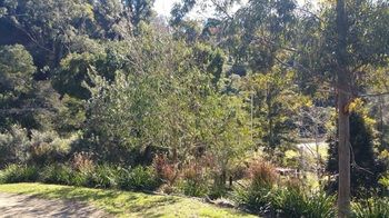 Copeland Cabins - Kawana Tourism 2