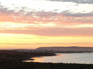 Dolphin Holiday House - Kawana Tourism 7