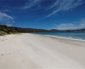 White Beach Tourist Park - Kawana Tourism 1