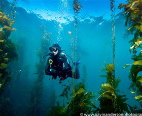 43 Degrees Bruny Island - Kawana Tourism 3