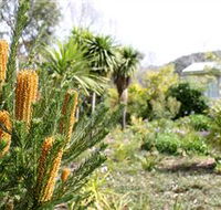 Yooringa Garden Cottage - Kawana Tourism