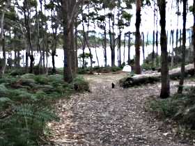 Camping At Bruny Island - Kawana Tourism 1