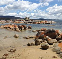 Lake Eckersley campground - Kawana Tourism