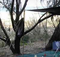 Main Beach Foreshore Camping Grounds - Kawana Tourism