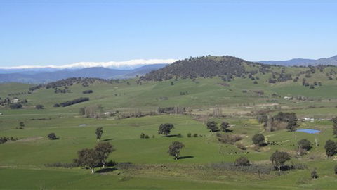 Rancho Relaxo - Kawana Tourism 0