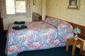 Allamar Motor Inn - Kawana Tourism 4